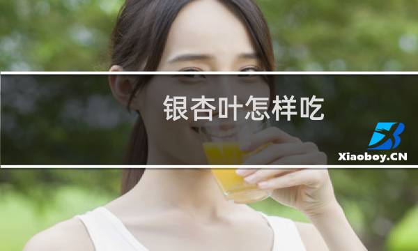 银杏叶怎样吃