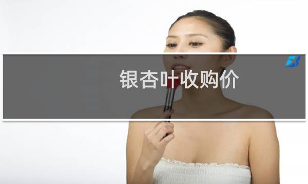 银杏叶收购价