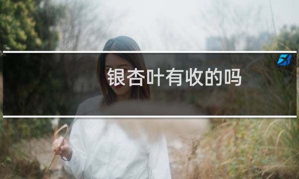 银杏叶有收的吗