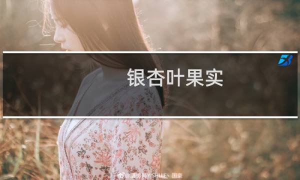 银杏叶果实