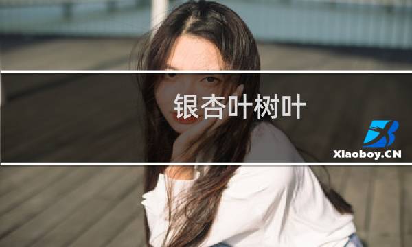银杏叶树叶