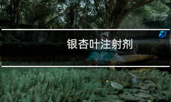 银杏叶注射剂