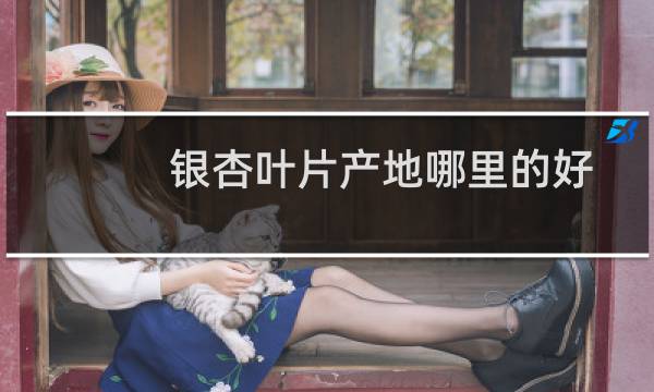 银杏叶片产地哪里的好