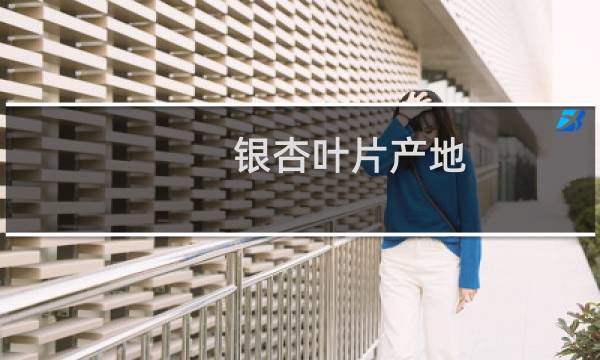 银杏叶片产地