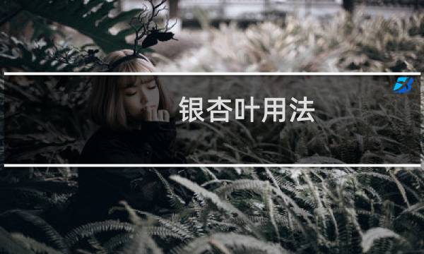 银杏叶用法