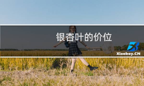 银杏叶的价位