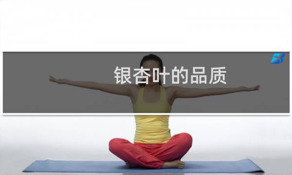 银杏叶的品质