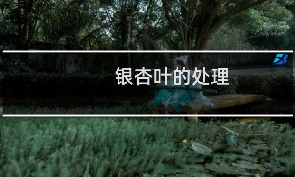 银杏叶的处理