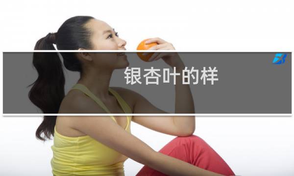 银杏叶的样