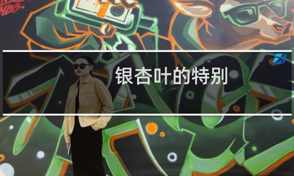 银杏叶的特别