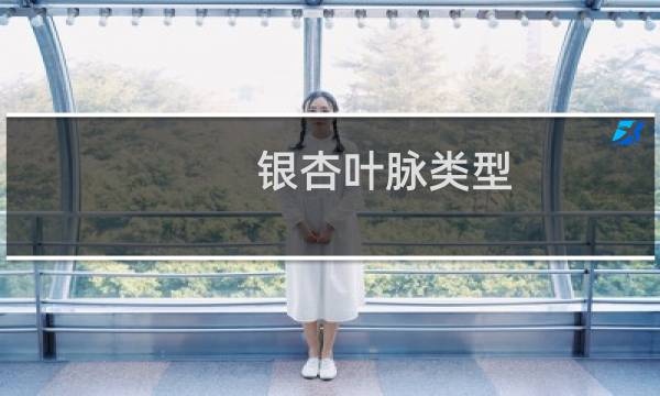 银杏叶脉类型