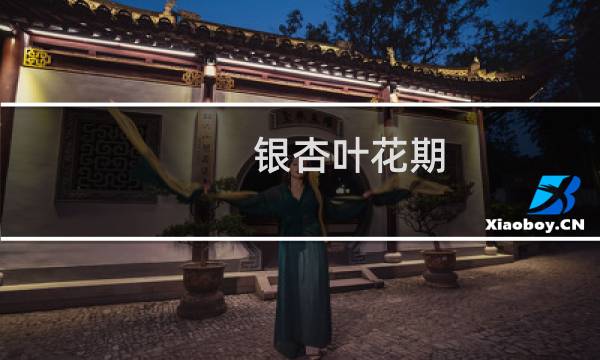 银杏叶花期