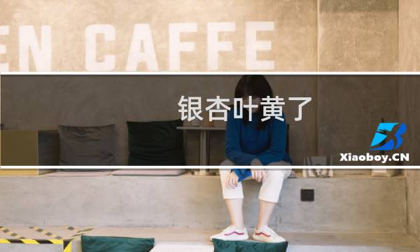 银杏叶黄了