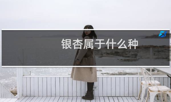 银杏属于什么种