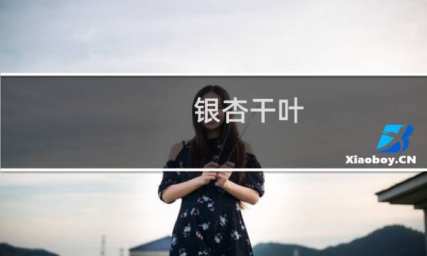 银杏干叶