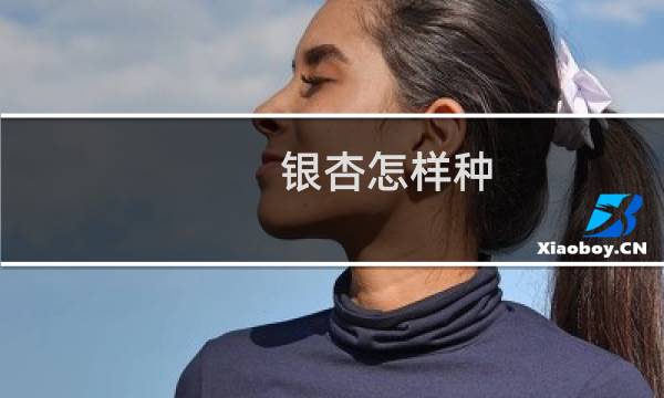 银杏怎样种