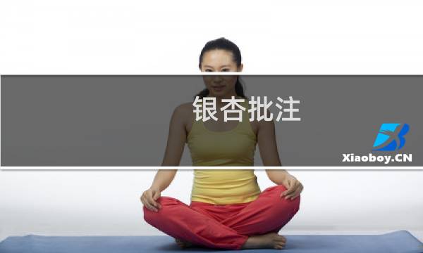 银杏批注