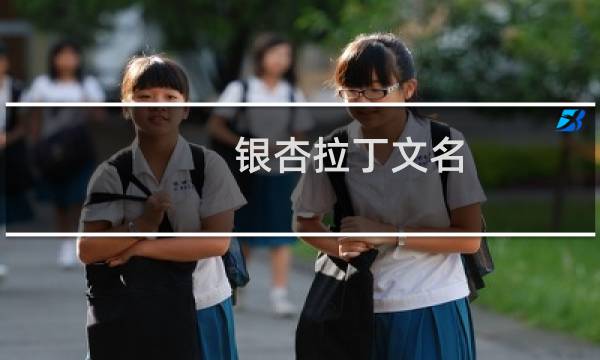 银杏拉丁文名