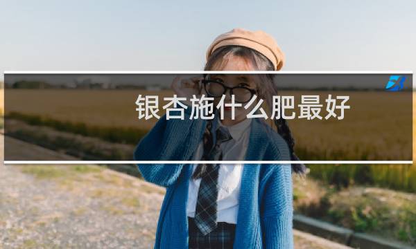 银杏施什么肥最好