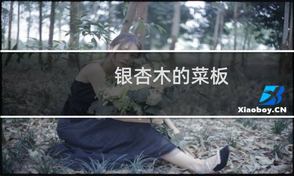 银杏木的菜板