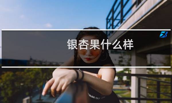 银杏果什么样