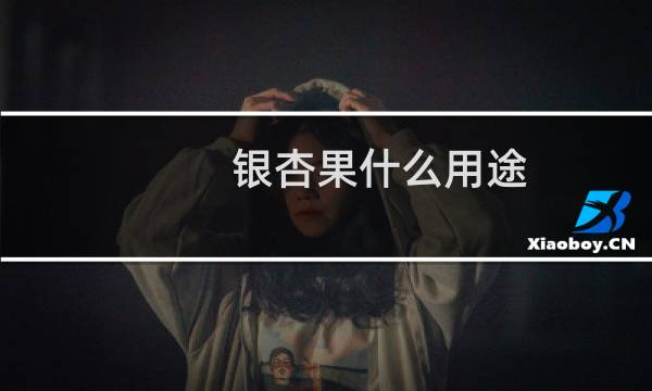 银杏果什么用途
