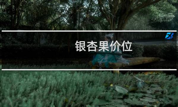 银杏果价位
