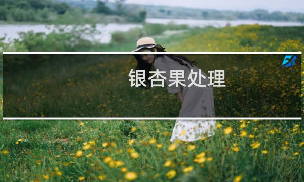 银杏果处理
