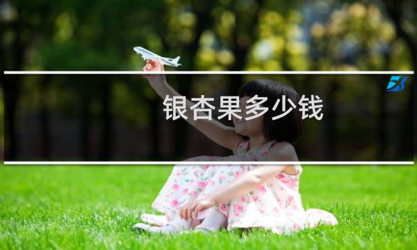 银杏果多少钱
