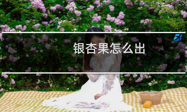银杏果怎么出