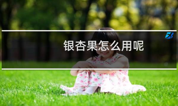 银杏果怎么用呢