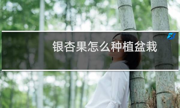 银杏果怎么种植盆栽