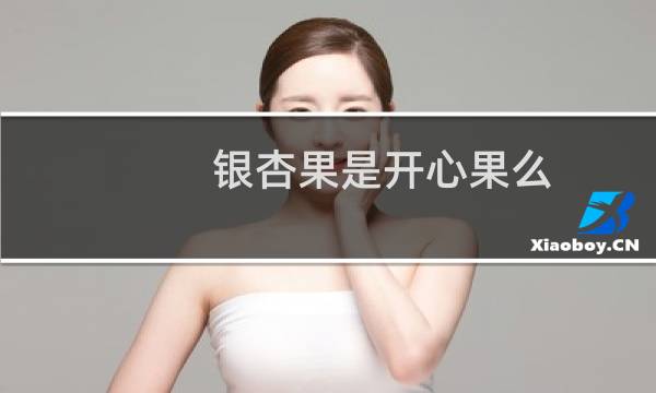 银杏果是开心果么