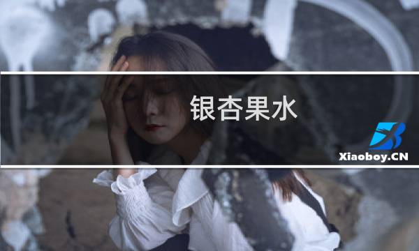 银杏果水
