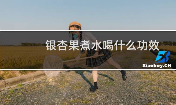 银杏果煮水喝什么功效