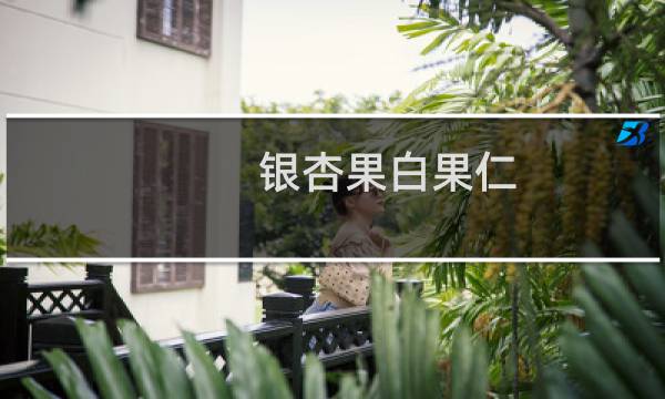 银杏果白果仁