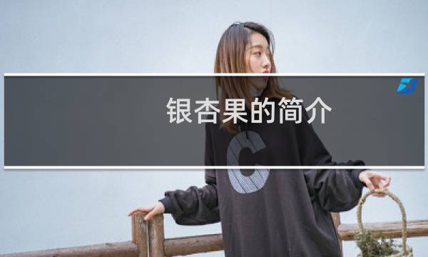 银杏果的简介