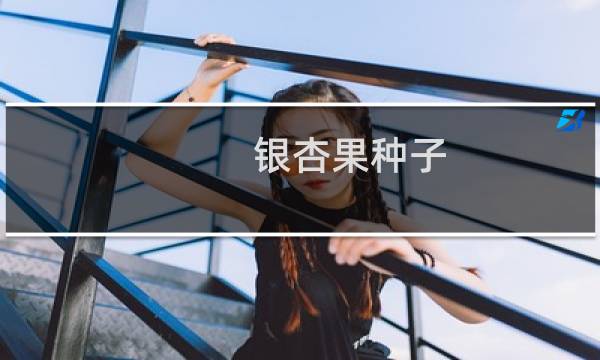 银杏果种子