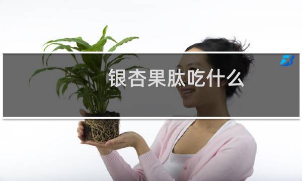 银杏果肽吃什么
