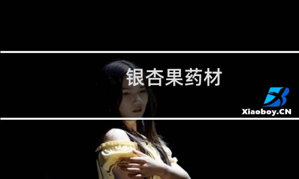 银杏果药材