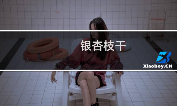 银杏枝干