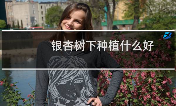 银杏树下种植什么好