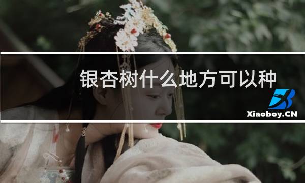 银杏树什么地方可以种