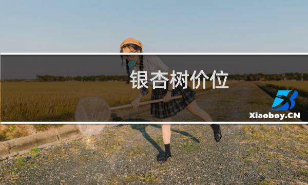 银杏树价位