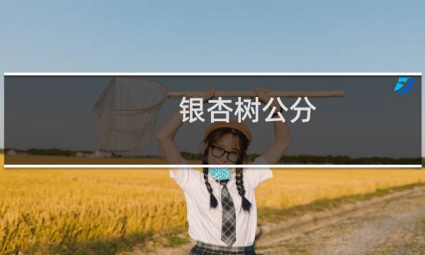 银杏树公分