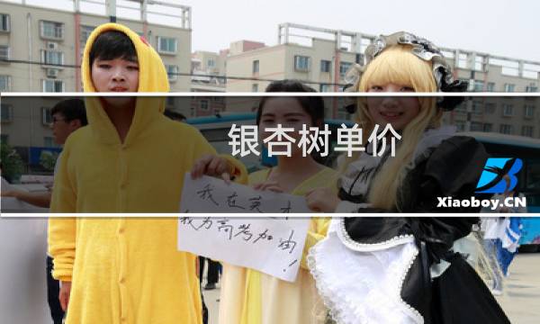银杏树单价