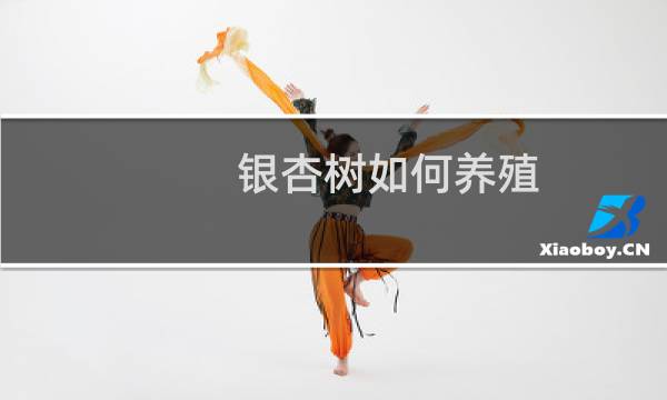 银杏树如何养殖