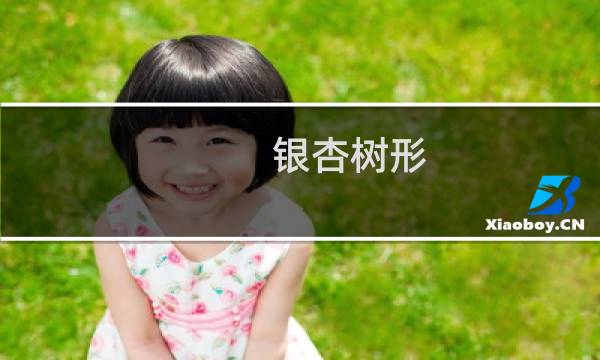 银杏树形
