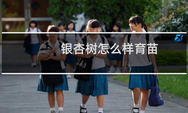 银杏树怎么样育苗
