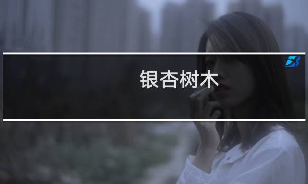 银杏树木